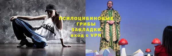 твердый Михайловск