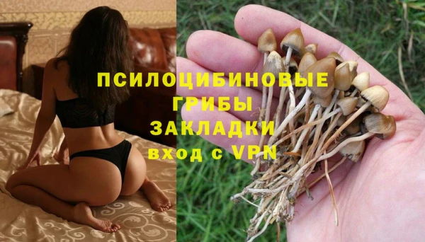 твердый Михайловск