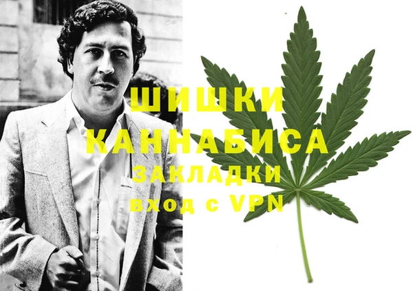 твердый Михайловск