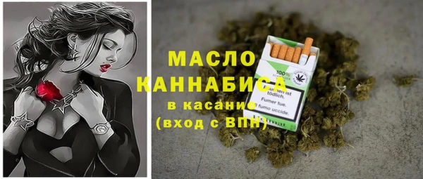 твердый Михайловск