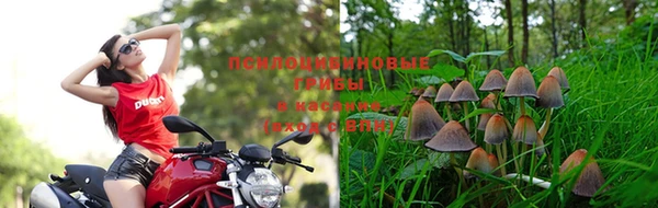 твердый Михайловск