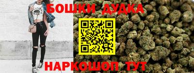 индика Балашиха