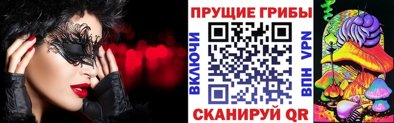Псилоцибиновые грибы Psilocybe  мориарти официальный сайт  Мичуринск  где продают наркотики 