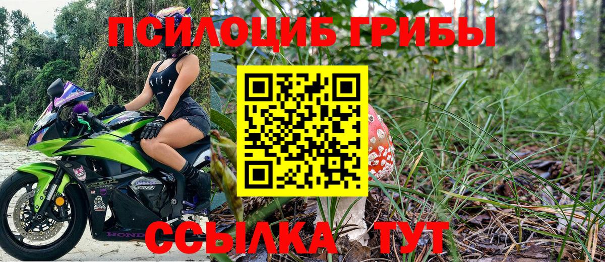 Галлюциногенные грибы Cubensis Мичуринск