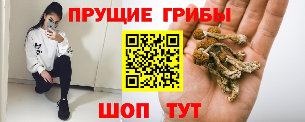 купить наркотик  Мичуринск  Галлюциногенные грибы Magic Shrooms 